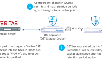 Expanding Quantum Support for the Veritas OST API, and Another Feature to Strengthen Cybersecurity￼